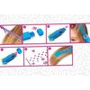 Lena 42536 Fashion Set Haarkreide,6 Jahre to 99 Jahre
