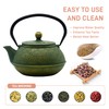 900ml Cast Iron Tea Kettle,SECHUDO Teapot Coated with Enameled Interior