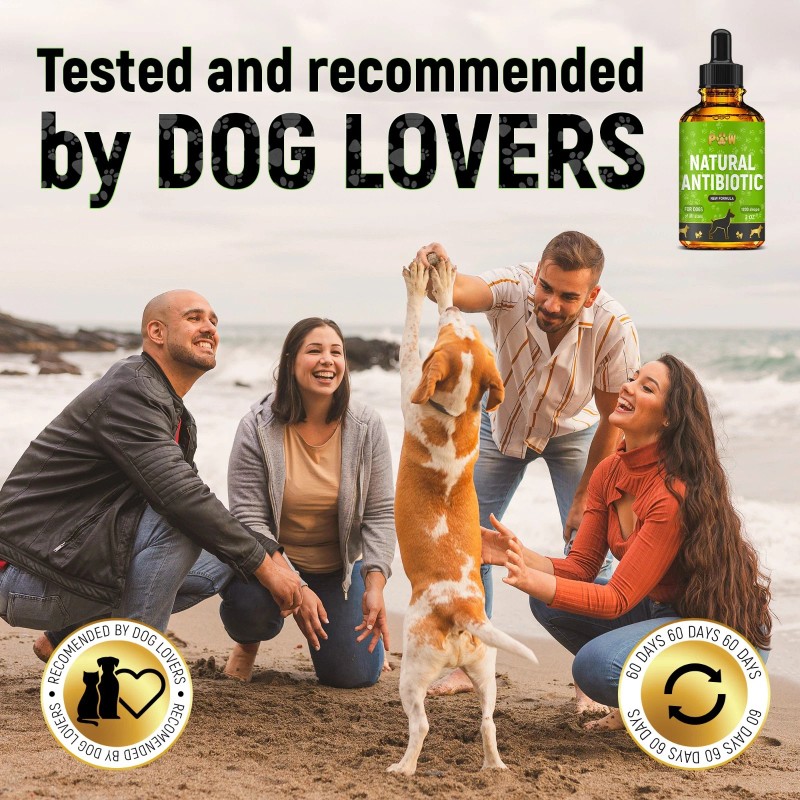GoldenPaw Dog Antibiotics for Infections, Cough, UTI & Allergy Relief
