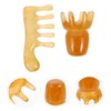 OHPHCALL 2pcs Scalp Massage Tool Handheld Gua Comb for Care