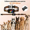 1000m Collar Antiladridos Perro,4 Modos De Entrenamiento