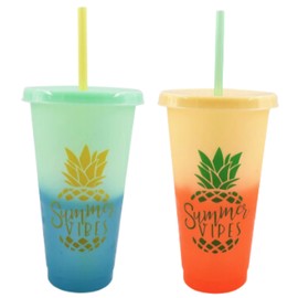 KRE Color Changing Tumbler with Straw 8 Inches Liquid Cold Beverage Iced Coffee Tea Smoothie Fun Party Theme To go Summer Reusable Drinking Tumbler Party and Travel Pack of 2 with Bonus Gadergdci