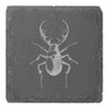 4 x 'Stag Beetle' 10cm Square Slate Coasters (CR00221820)