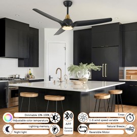 SARUDIIR Ceiling Fans with Lights,52 inch Black Ceiling fan with App and Remote Control,Reversible modern DC ceiling fans,3CCT,Dimmable,Noiseless,Ceiling Fan for Bedroom,Living Room,Indoor/Outdoor Use