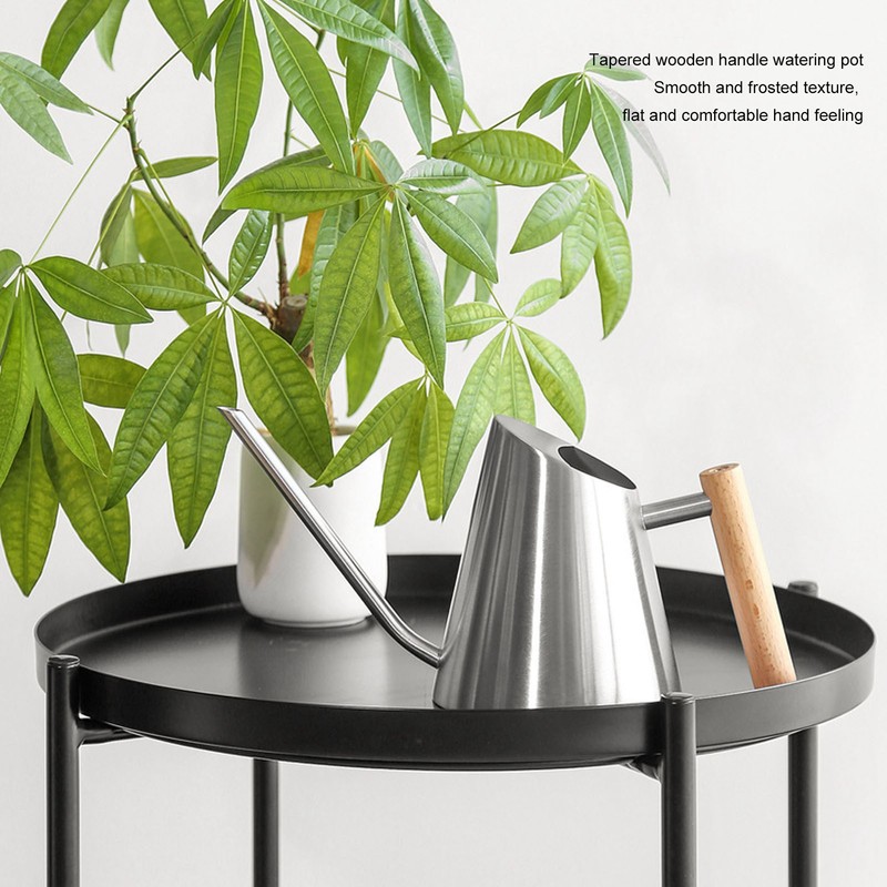 Watering Can with Long Spout Rustproof Stainless Steel Watering Pot