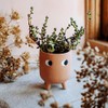 Sass & Belle Little Leggy Terracotta Planter