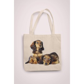 Super Lemon Dachshund Hound Tote Reuseable Shopping Bag Novelty Present Gift Printed Eco-Friendly Stylish Long Handled Tote Shoulder Bag, Great Gift Or Present for Any Dog Lover…