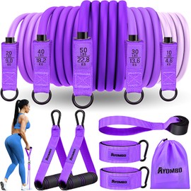 Resistance Bands for Working Out, Resistance Bands with Handles, Exercise Bands Set with Door Anchor and Ankle Straps, Gym Equipment for Fitness Weights Workout at Home for Heavy Resistance Training