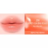 Clio 클리오 볼륨메이트 틴트 글로스 201 허니코팅피치X2개 BNS Clio Volume