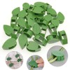 zalati Plant Climbing Supports 50 Pieces Plant Clips Wall Mount
