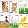 UGOS Touch and Feel English Spanish Bilingual Picture Toddler Kids