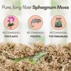 Mossify Premium Sphagnum Moss for Plants 150g, 5.3 Oz -