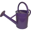 1 Gallon Watering Can Plum