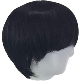 1pcs Short Black Full Bang Straight Wig Hairstyle Cosplay/daily Heat Resistant Fibre Wig for Men's Women's Unisex(Black)