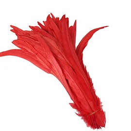Yalulu Pack of 20 30-35 cm Larger Natural Feather Rooster Feather Pheasant Rooster Feather Feathers for Crafts Headdress Jewellery Feathers DIY (Red)