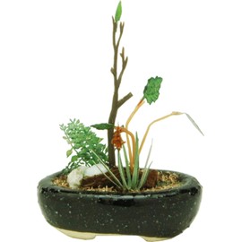 THE BONSAI oval pot planting [black]