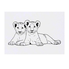 'Lion Cubs' Temporary Tattoo - Water Resistant, Skin-Safe, Non-Toxic Transfer (TO00041004)