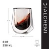 Viski Alchemi Aerating Wine Glass, Double Walled Tasting Tumbler for