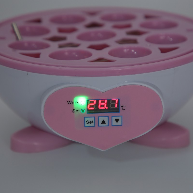 SemiAutomatic Incubator Household Small 9 Eggs Incubator for Chicken Duck
