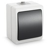 greate Wet Room Toggle Switch Surface-Mounted - Surface-Mounted Switch 1-Gang