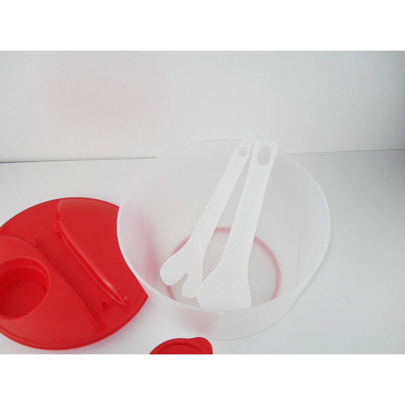 TUPPERWARE Salad & Go Cutlery + Container To Go Picnic