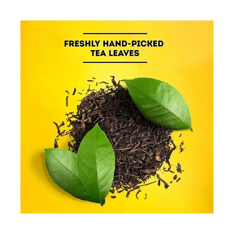 Lipton Iced Tea, GALLON Size Tea Bags (24 ct.) Family