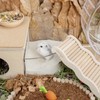 Niteangel Training Litter Potty Sand - Hamster Sand Bath for