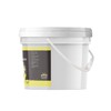 Birch & Meadow 1 gallon, Lemon Instant Pudding, Bulk Size,