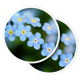 Vinyl Round Stickers (Set of 2) 10cm - Little Blue Forget-Me-Not Flowers for Laptops, Tablets, Luggage, Scrap Booking, Fridges #51344