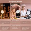 Rechargeable Lighted Makeup Mirror,10X Magnification, 7 Inch