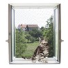 Kerbl Cat Protection Net, transparent, 2 x 3 m