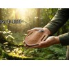 STIFF HIDES Handmade Leather Knife Sheath for Belt– Compact EDC