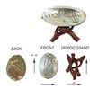 Purifying Dish, With Base, Abalone Shell, 4.3 inches (11 cm),