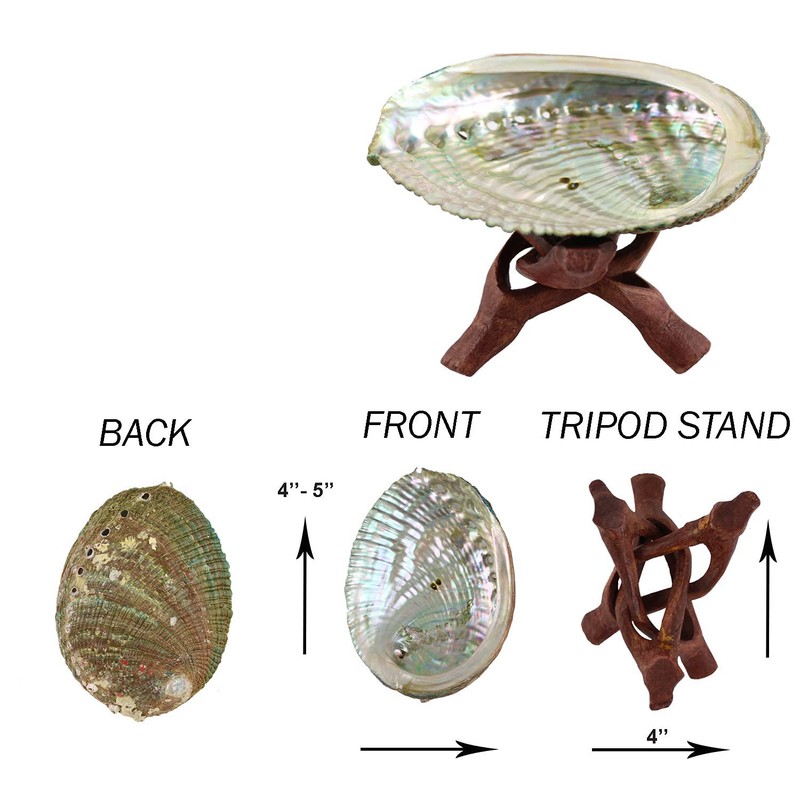Purifying Dish, With Base, Abalone Shell, 4.3 inches (11 cm),