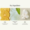 anillo [anillo]Amber528 Scented Hand Cream 50ml