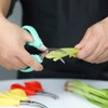6-piece crab crackers, crab leg scissors -king crab legs scissors-Seafood