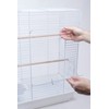 PENN-PLAX Cockatiel & Small Parrot Starter Birdcage – Great for