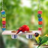 Bird Feeding Dish Cups with Parrot Perch Swing Natural Colorful