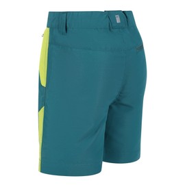 Regatta Unisex Sorcer Mountshtii Pants, Pacific Green/Bright Kiwi