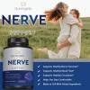 Premium Nerve Support Supplement – 60 Capsules