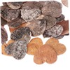 EXCEART 80pcs Heart-Shaped Wood Slices Natural Log Discs with Bark