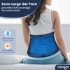 NEWGO Back Cooling Pad Back Ice Pack for Hot or