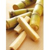 Sugarcane 3 pcs Sugarcane Cutting Sweet Tropical Live Plant Ready