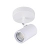 Lexi Lighting Brianna Spot Light, Flush-Mount Round Ceiling Light, 1