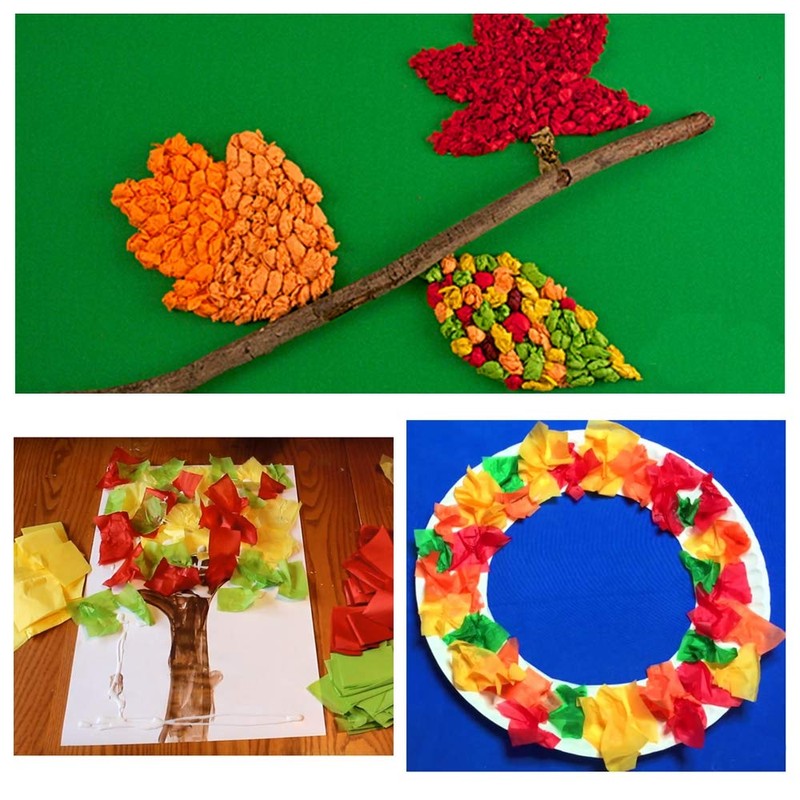 Exquiss 1600 Pcs Autumn Leaf Colors Fall Colors Fall Foliage