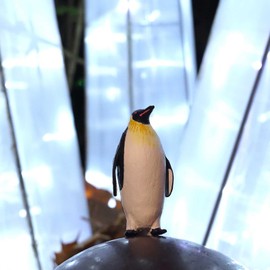 Safari Ltd. Emperor Penguin Figurine - Detailed 3.3" Antarctic Bird Figure - Educational Toy for Boys, Girls, and Kids Ages 3+