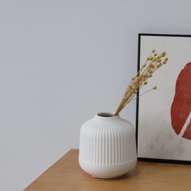 TCIUXYQ Ceramic Vase for Home Decor, White Vases for Dried Flower, Living Room Decoration, Office, Living Room, Kitchen,S