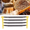 Bee Cell Cups Kit Queen Rearing System Cultivating Queen Cage