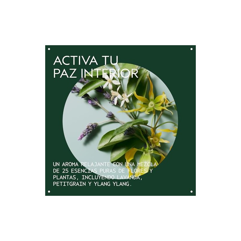 Aveda Shampure Nurturing Conditioner | Desenreda al instante