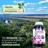 FITO MEDIC'S Laboratorio | Pastillas De Lavanda | 120 Cápsulas